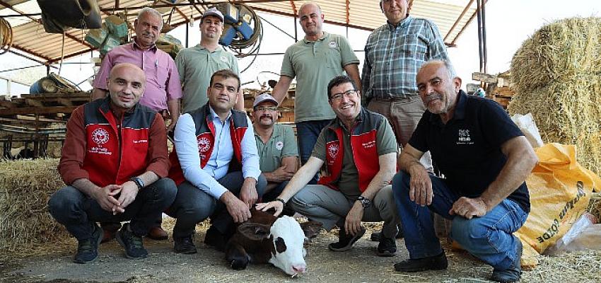 buzagina-sahip-cik-projesiyle-ekonomiye-21-milyon-kazanc.jpg