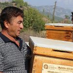 antalya-buyuksehirden-serikli-aricilara-kovan-destegi.jpg