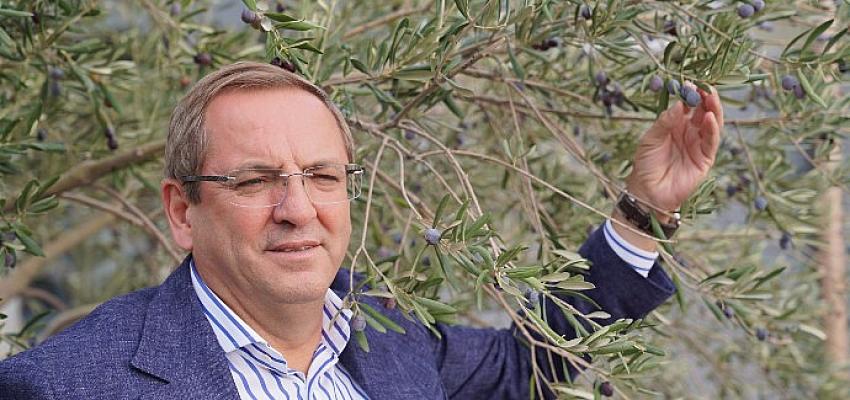 ayvalikta-zeytin-muzesi-yenilendi.jpg