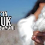 kinik-bakircay-ovasinda-beyaz-altin-zamani.jpg