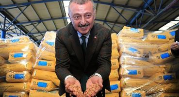 Kocaeli Büyükşehir’in tohum desteği başvuruları sona erdi
