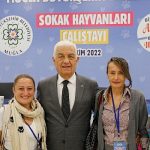 mugla-sokak-hayvanlari-calistayinin-sonuc-bildirgesi-yayinlandi.jpg