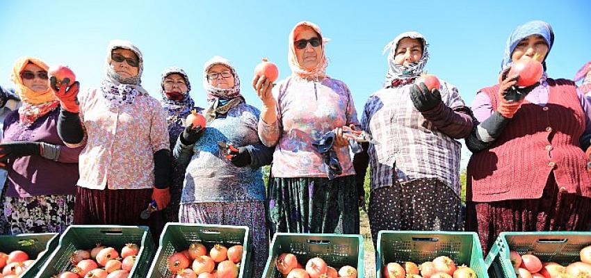 nar-nesesi-sen-tanesi-senligi-bu-pazar-zeytinkoyde.jpg
