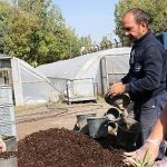 seralarda-kislik-uretim-basladi.jpg