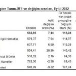 tarim-urunleri-uretici-fiyat-endeksi-tarim-ufe-yillik-yuze-15600-aylik-yuzde-714-artti.jpg