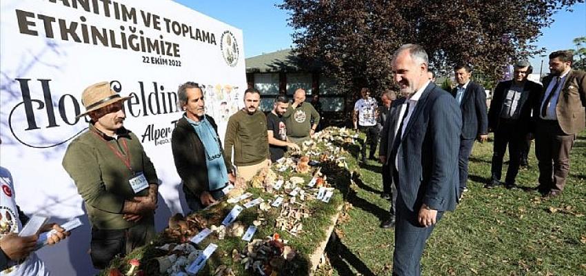 turkiyenin-mantar-avcilari-inegolde-bulustu.jpg