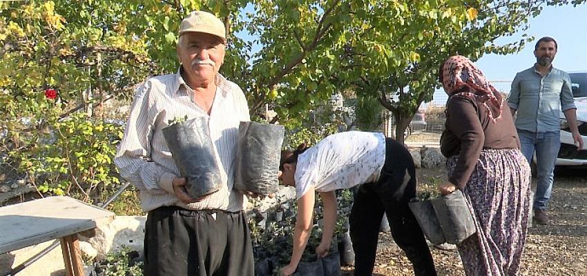 antalya-buyuksehirden-ciftciye-keciboynuzu-destegi.jpg