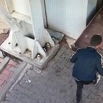 asansorleri-amacina-uygun-olarak-kullanalim.jpg