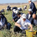 carrefoursa-gonulluleriyle-birlikte-cumhuriyet-icin-seferber-oldu.jpg