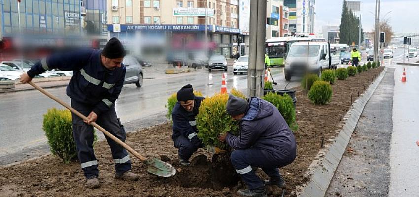 d-100-kuzey-yan-yolda-yesillendirme-calismasi.jpg