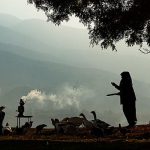 dereceye-giren-fotograflar-belirlendi.jpg