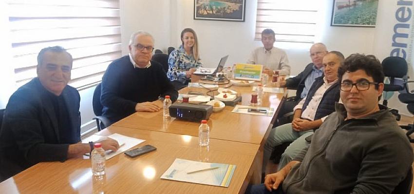 kemer-belediyesi-otellerdeki-kedi-populasyon-artisi-konusuldu.jpg