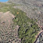 mudanya-belediyesi-sokak-hayvanlari-rehabilitasyon-merkezi-ve-barinak-projesine-on-izni-aldi.jpg