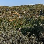 mugla-cimento-fabrikasina-acilan-temyiz-davasindan-olumlu-karar-cikti.jpg