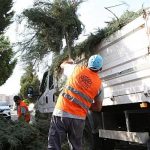 niluferde-bahce-ve-budama-atiklari-kompost-oluyor.jpg