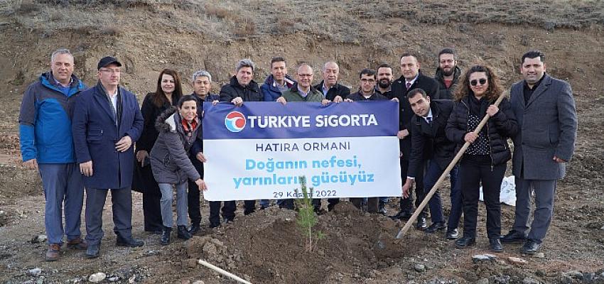 turkiye-sigorta-ormani-sivasta-yeserecek.jpg
