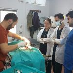 veteriner-hekim-adaylarina-uygulamali-egitim.jpg