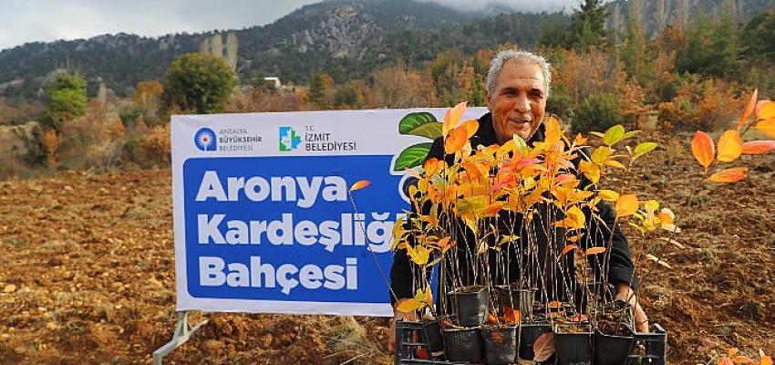 antalya-ile-izmitin-aronya-kardesligi.jpg