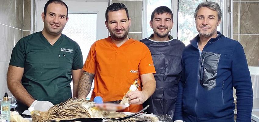 bakimevimiz-can-dostlarimiz-icin-sifa-dagitiyor.jpg