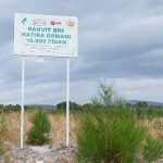banvit-brf-ormani-40-bin-agaca-ulasti.jpg
