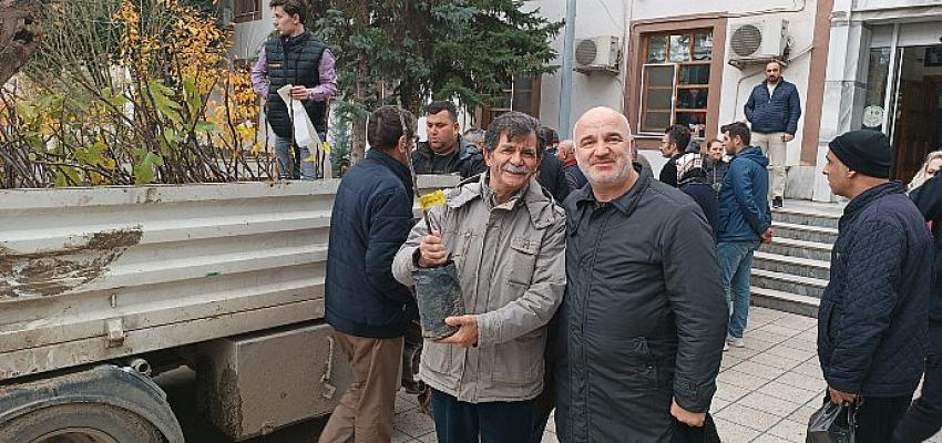 saray-belediyesinden-ucretsiz-incir-fidani.jpg