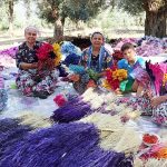 bayindir-turan-mahallesi-nergis-ve-kuru-cicek-festivali-2-yilinda.jpg