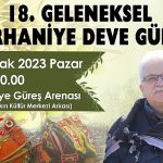 burhaniye-deve-guresleri-icin-hazirliklar-tamamlandi.jpg