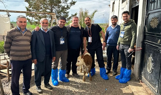 deulu-uzmanlardan-deprem-bolgesinde-sap-virusu-uyarilari.jpg