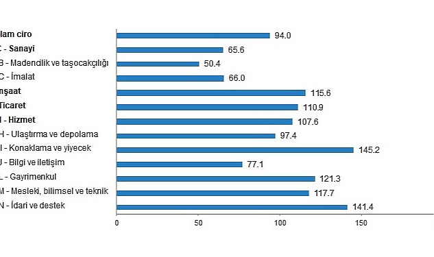 tuik-ciro-endekslerini-acikladi.jpg