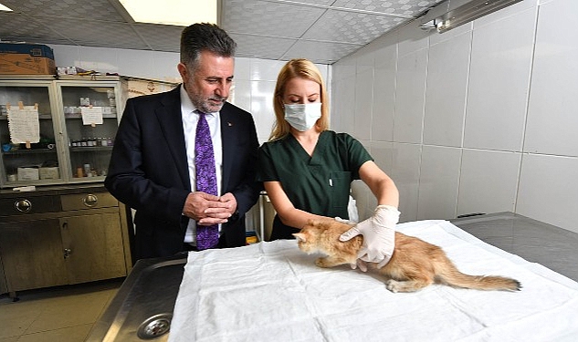 bayraklidaki-can-dostlara-ozel-klinik.jpg