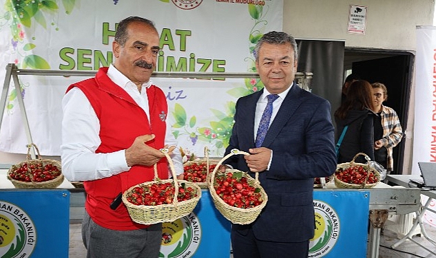 dunyanin-kirazi-kemalpasadan-gidecek.jpg