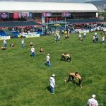 15-sekapark-altinkemer-yagli-guresleri-basladi.jpg