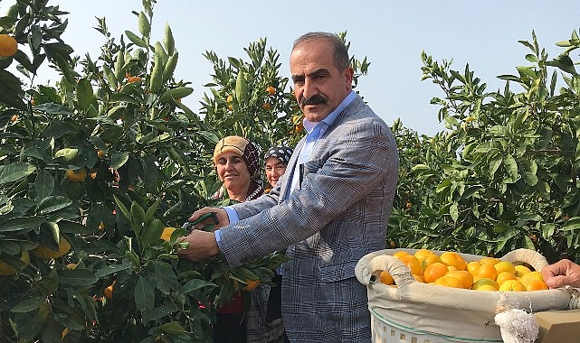 2023-24-sezonunda-narenciye-rekoltesinde-rekor-artis.jpg