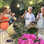 pernod-ricard-ve-bodrum-mandalin-hareketinden-yesil-bodrum-mandalini-icin-is-birligi.jpg