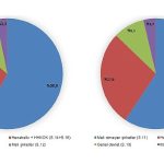 gayrisafi-milli-hasila-gsmh-2022-yilinda-14-trilyon-864-milyar-295-milyon-809-bin-tl-oldu.jpg