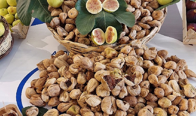 kuru-incir-ihracatinda-tarihi-rekor-73-bin-388-ton-kuru-incir-ihrac-ettik-260-milyon-dolar-doviz-kazandik.jpg