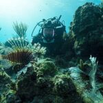 bbc-earth-denizalti-ve-yeryuzundeki-muhtesem-manzaralari-evlere-getiriyor.jpg