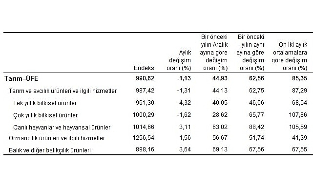 tarim-urunleri-uretici-fiyat-endeksi-tarim-ufe-yillik-yuzde-6256-artti-aylik-yuzde-113-azaldi.jpg