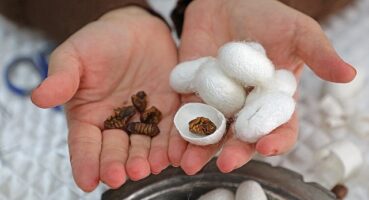 Alanya Sapadere İpek Evi hem üretim hem eğitim merkezi olacak