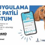 buyuksehirden-can-dostlar-icin-pako-mobil-uygulamasi.jpg