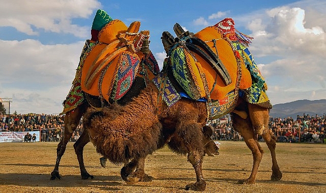 korfezin-incisi-burhaniye-1-ulusal-fotograf-yarismasi-sonuclandi.jpg