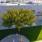 milas-cemevi-ve-kultur-merkezi-3-subatta-aciliyor.jpg