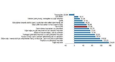 TÜİK: Tarım ürünleri üretici fiyat endeksi (Tarım-ÜFE) yıllık %57,85, aylık %3,85 arttı