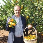 narenciye-sektoru-kktcde-gorulen-yesillenme-hastaliginin-turkiyeye-sicramamasi-icin-topyekun-mucadele-istiyor.jpg