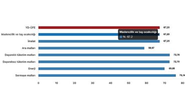 Tüik: Yurt Dışı Üretici Fiyat Endeksi (YD-ÜFE) yıllık %67,25 arttı, aylık %4,70 arttı