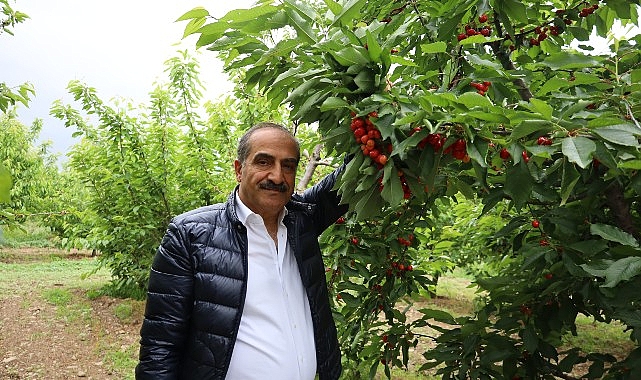 kiraz-hasat-senligine-gencler-enerji-katti.jpg