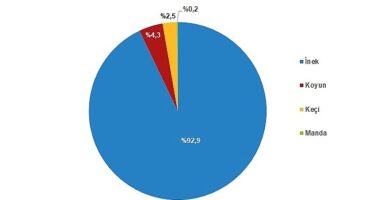 Tüik: Çiğ süt üretimi 2023 yılında %0,4 azalarak 21 milyon 481 bin 567 ton oldu