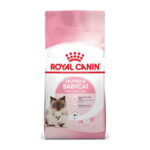 Aradığınız Tüm Royal Canin Kedi Maması Çeşitleri Bu Sitede