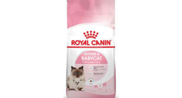 Aradığınız Tüm Royal Canin Kedi Maması Çeşitleri Bu Sitede