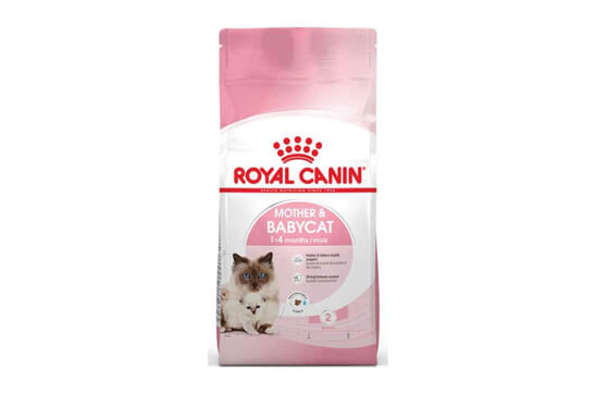 Aradığınız Tüm Royal Canin Kedi Maması Çeşitleri Bu Sitede